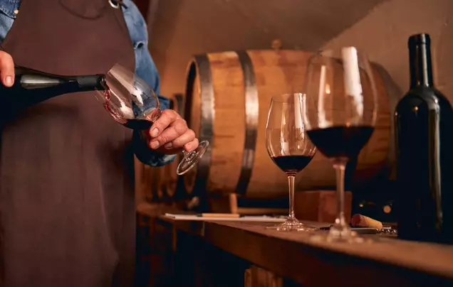 Wine Tasting at Zixuan Wine Estate