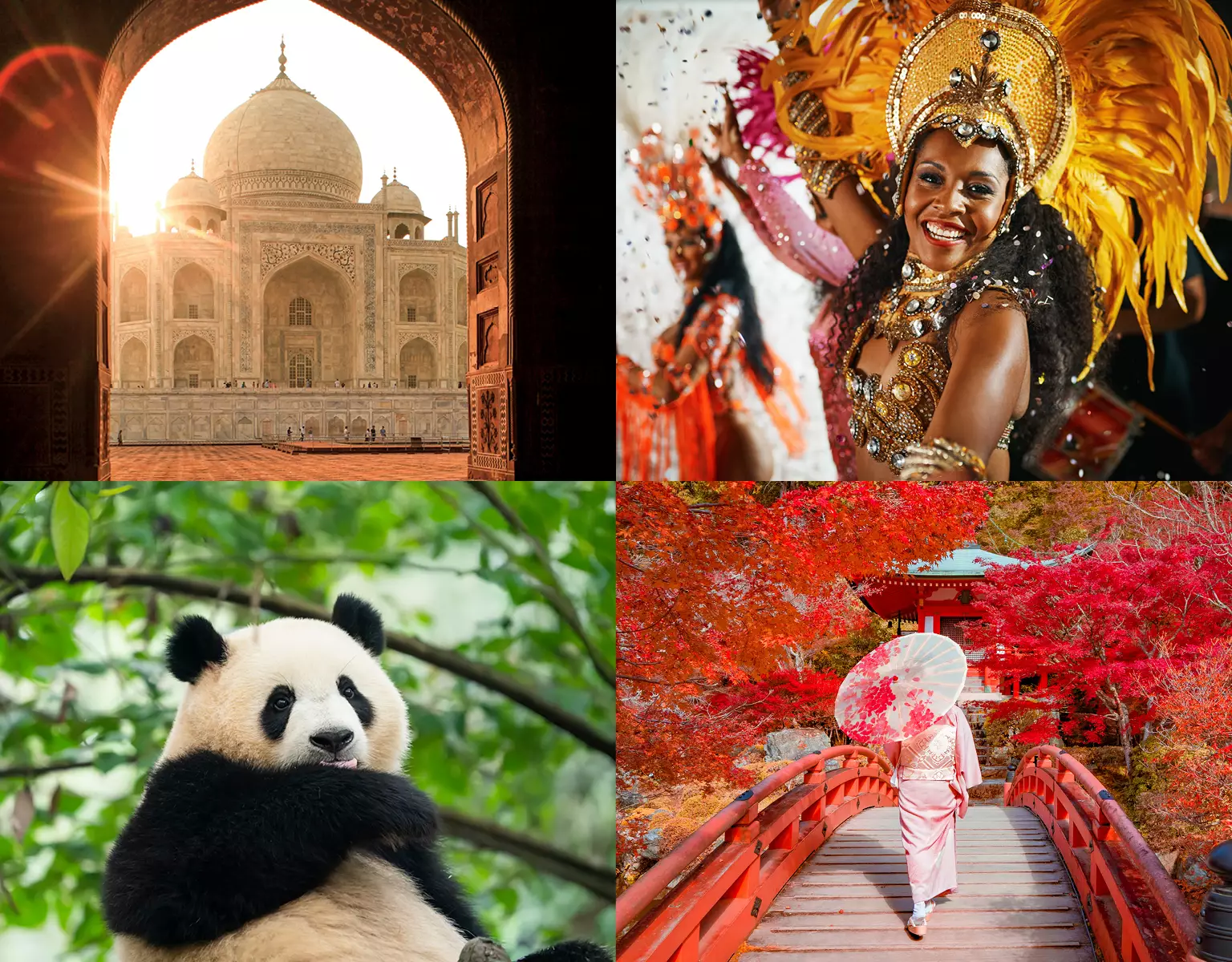 Winter Escape Sale - Save up to $2,000pp Across Every Tour