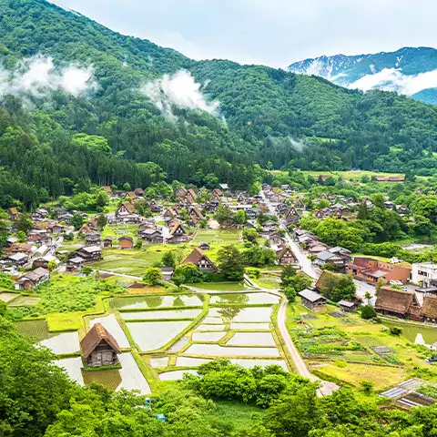 Shirakawago