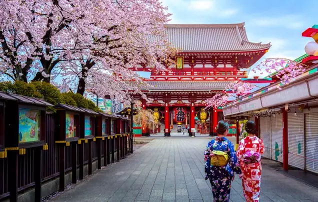 DAY 10: Discover Tokyo