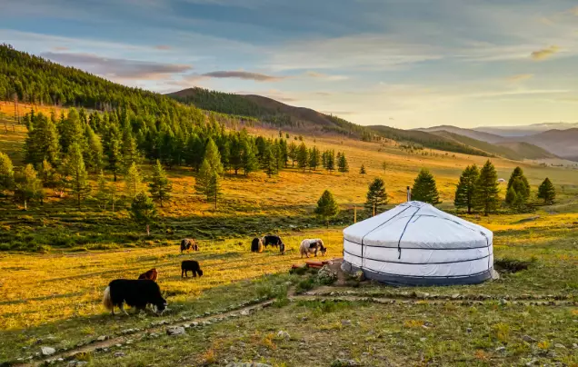 DAY 14: Fly to Terelj National Park