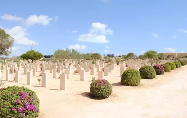egypt jordan tours from australia DAY 6: El Alamein