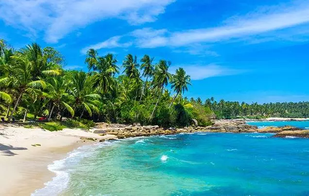 DAY 2: GOA CITY TOUR