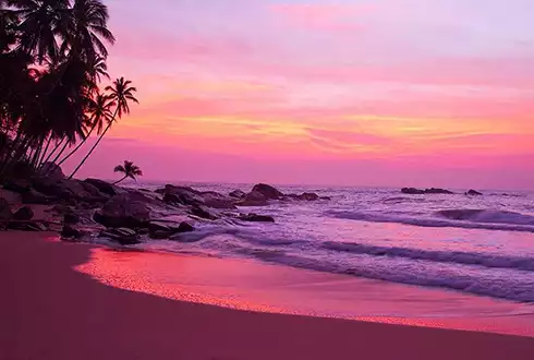 Goa Beach Stay