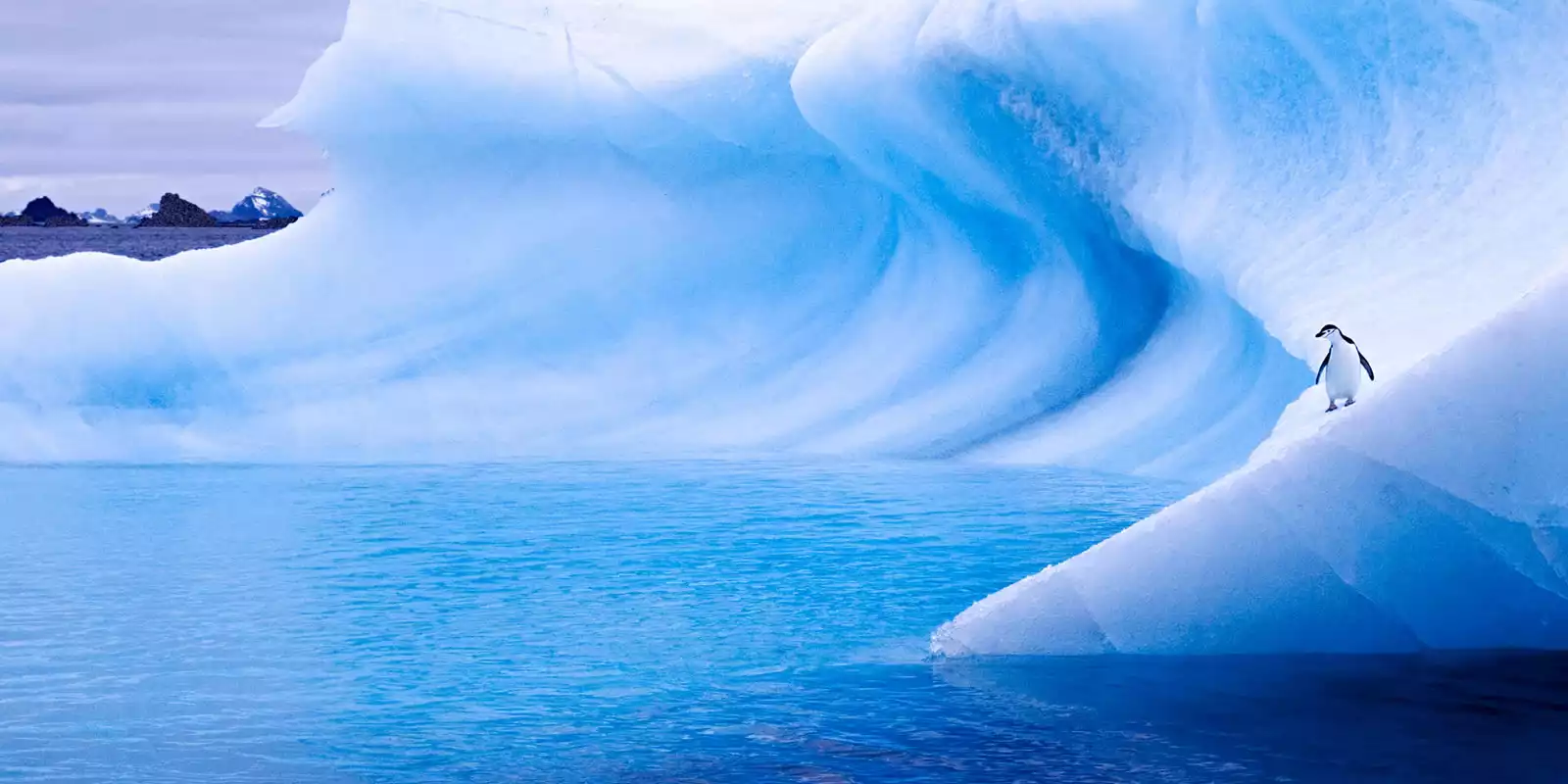 Antarctica Cruise Holidays