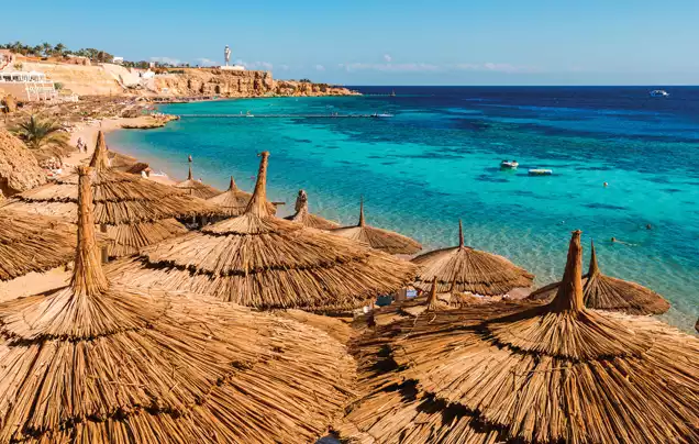 egypt jordan tours from australia egypt jordan tours from australia