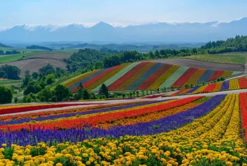 Hokkaido