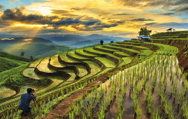 Immerse Yourself Tours