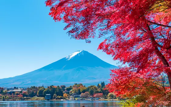 Fall for Japan: Experience the spectacular 2025 Autumn Leaves
