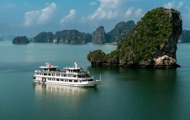 Swan Cruise