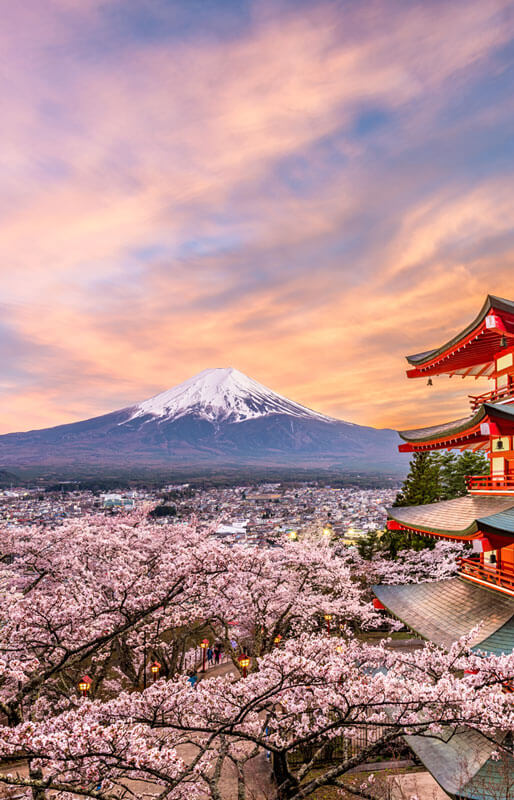 japan small group tours from australia