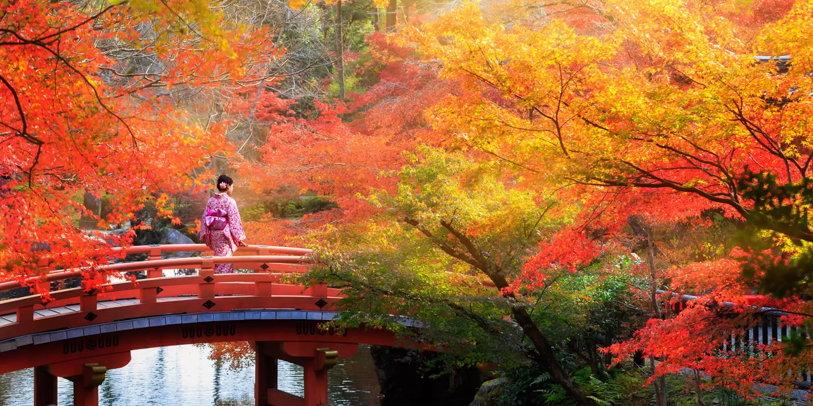 Japan Tours