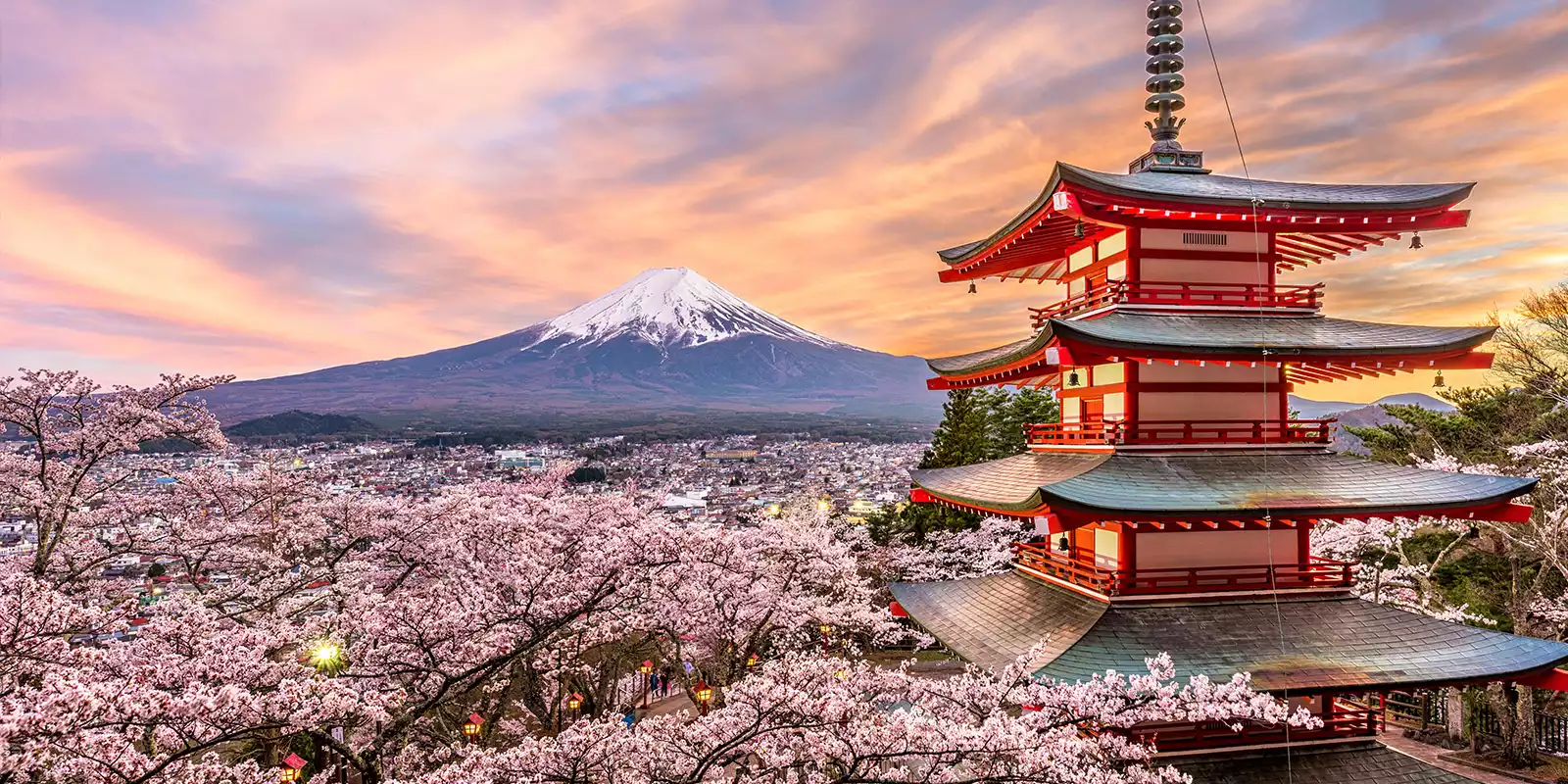 Japan Tours 2023/2024, Australia's Best Japan Tour Operator