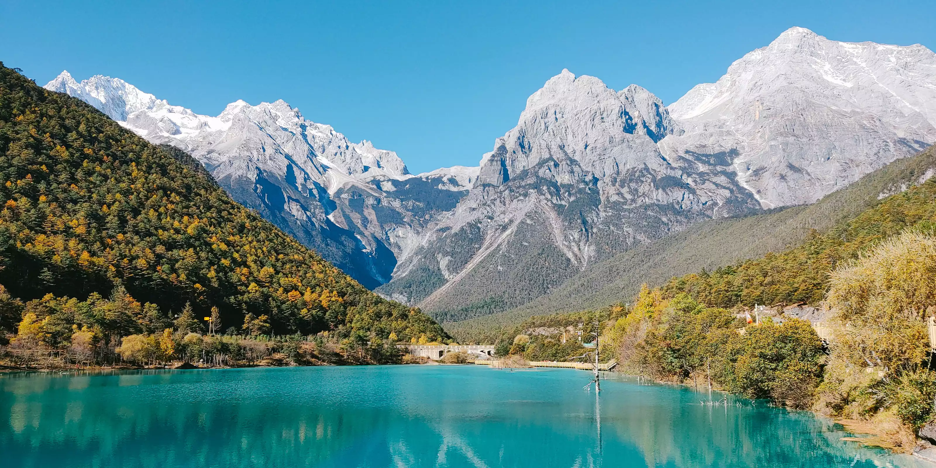 Rediscover the World in 2022