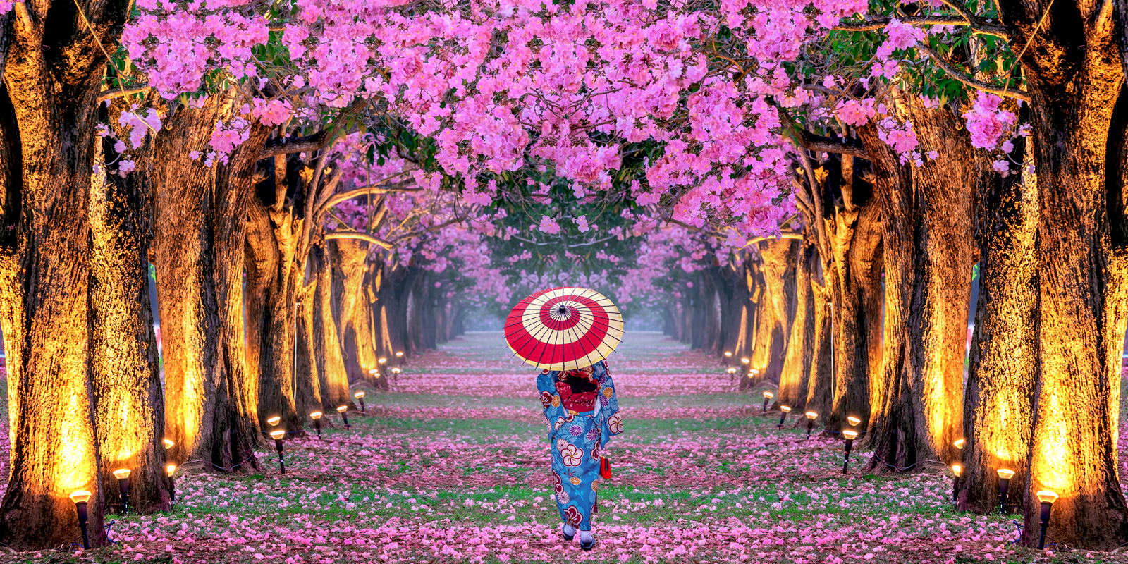 Complete the form for your chance to win!