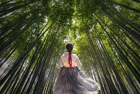 Juknokwon Bamboo Forest
