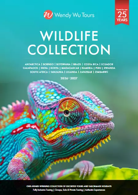 NEW - Wildlife Collection 2026-2027 brochure