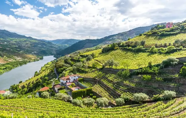 Day 7: Douro Valley