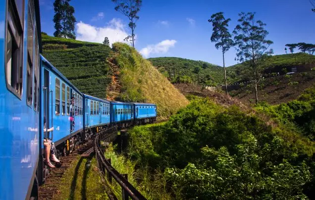 Day 8: Christmas Day - Nuwara Eliya