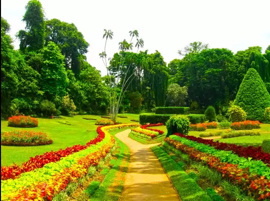 Day 7: Explore Kandy