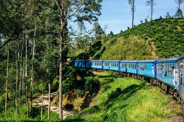 Day 6: Scenic train to Nuwara Eliya