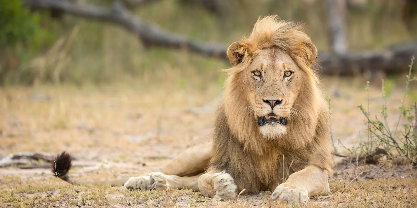 South Africa Christmas Holidays