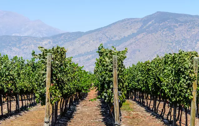 Day 1: Arrive Maipo Valley