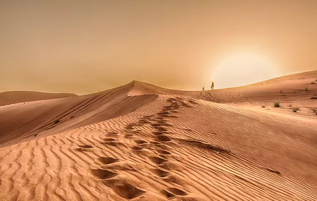 Day 2: Discover Abu Dhabi