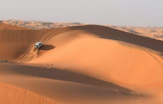 Day 2: Desert Adventure in Doha