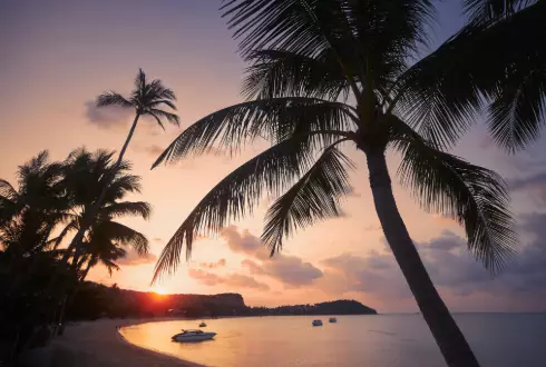 Koh Samui Beach