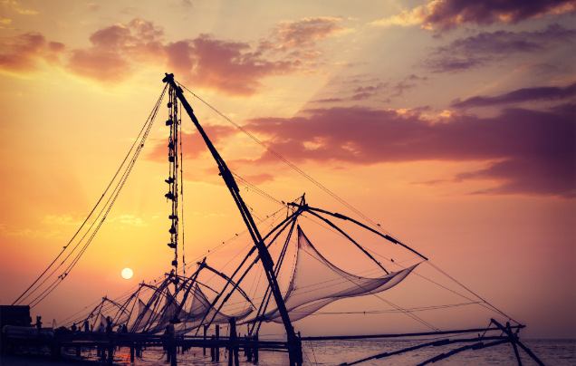 Day 12: Cruise – Explore Kochi