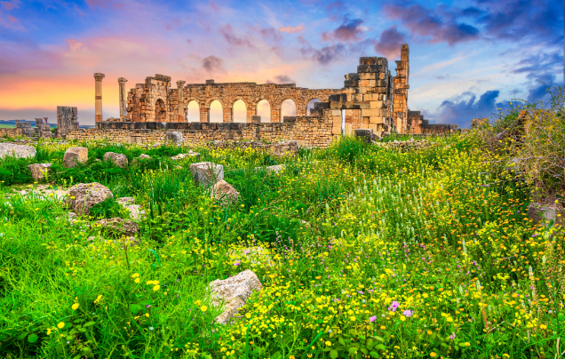 Day 6: Journey to Fez