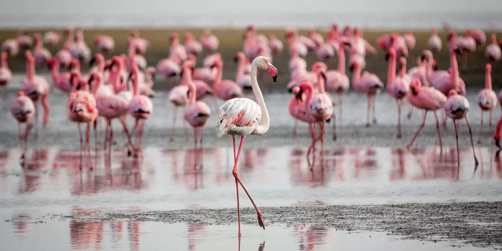Namibia Tours