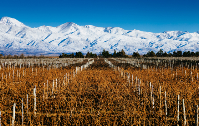 Day 6: Explore the Maipu Valley