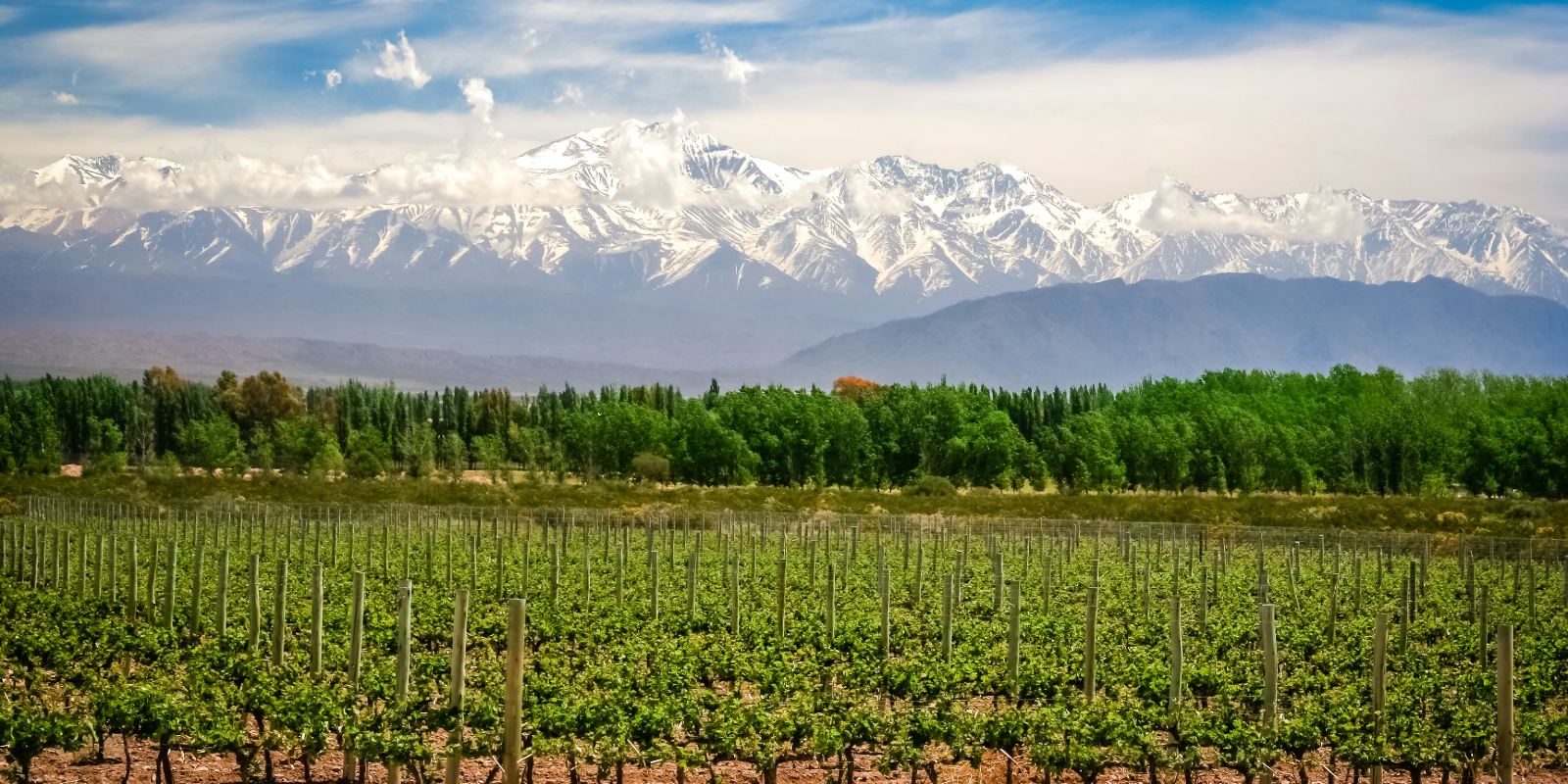Wines & Wonders of South America