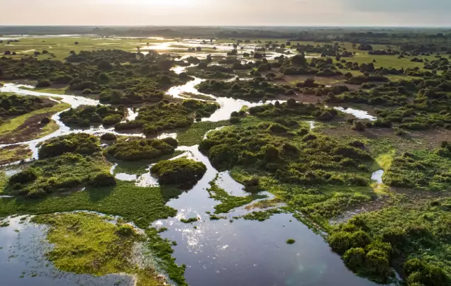 Days 7: Into the Pantanal