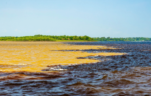 Day 5: Amazon adventure