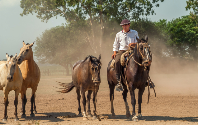 Day 14: Gaucho Experience