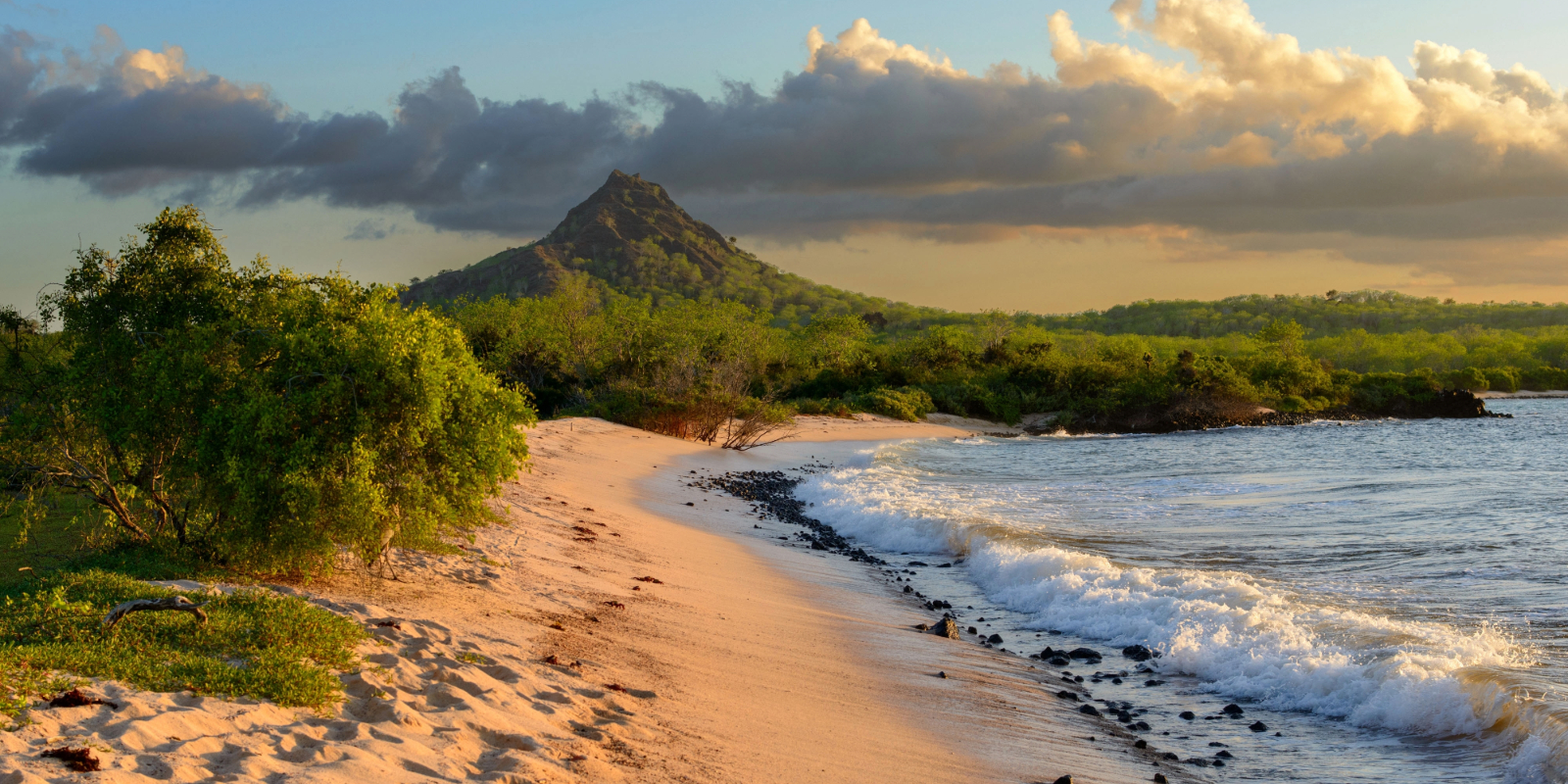Galapagos by Sea: Northwestern Galapagos Islands
