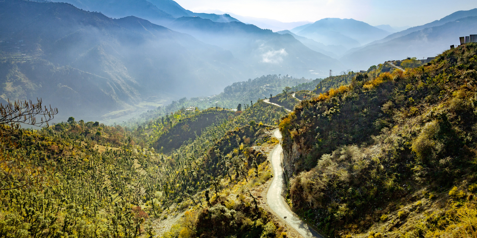 Shimla & Amritsar