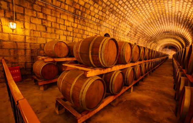 Day 9: Wine Tasting in Jiayuguan