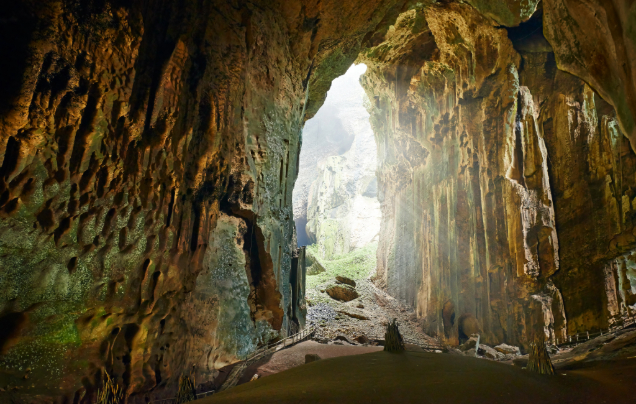 Day 6: Explore Sukau