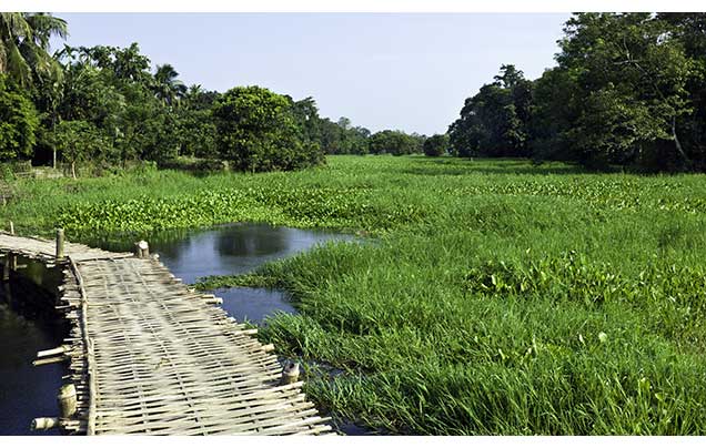 Day 14: Majuli Island