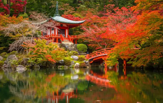 Day 19: Cruise – Osaka/Kyoto