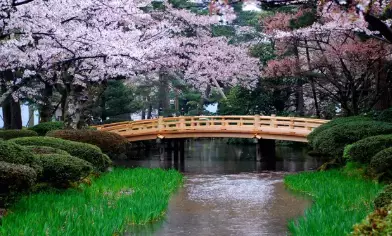 Day 18: Cruise – Kanazawa