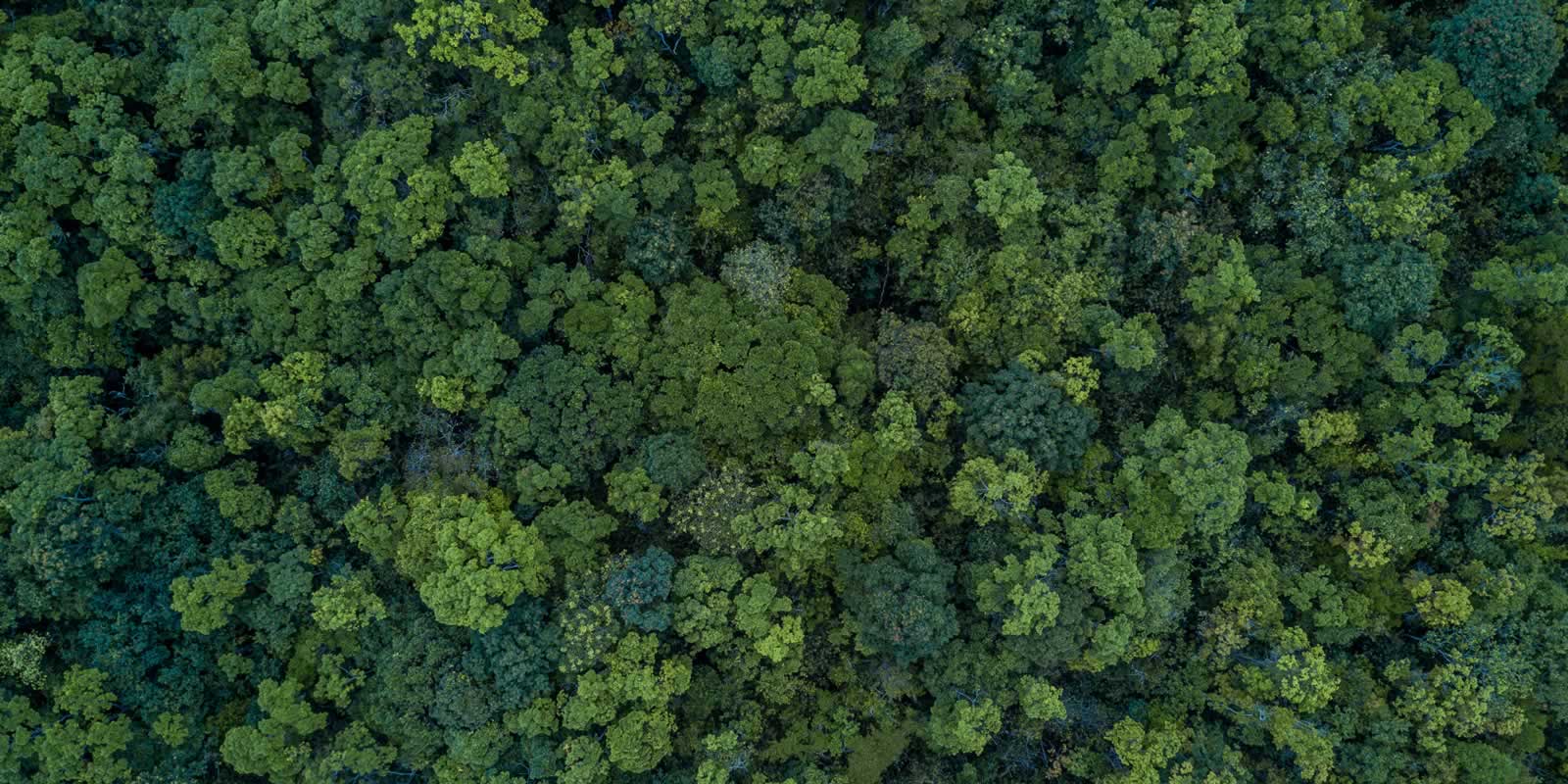 Travelling Sustainably