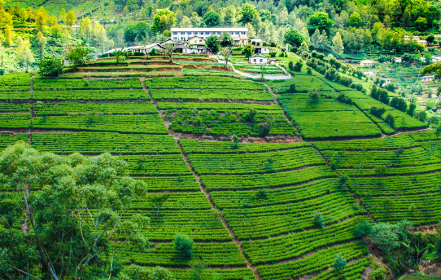 Day 13: Explore Ella