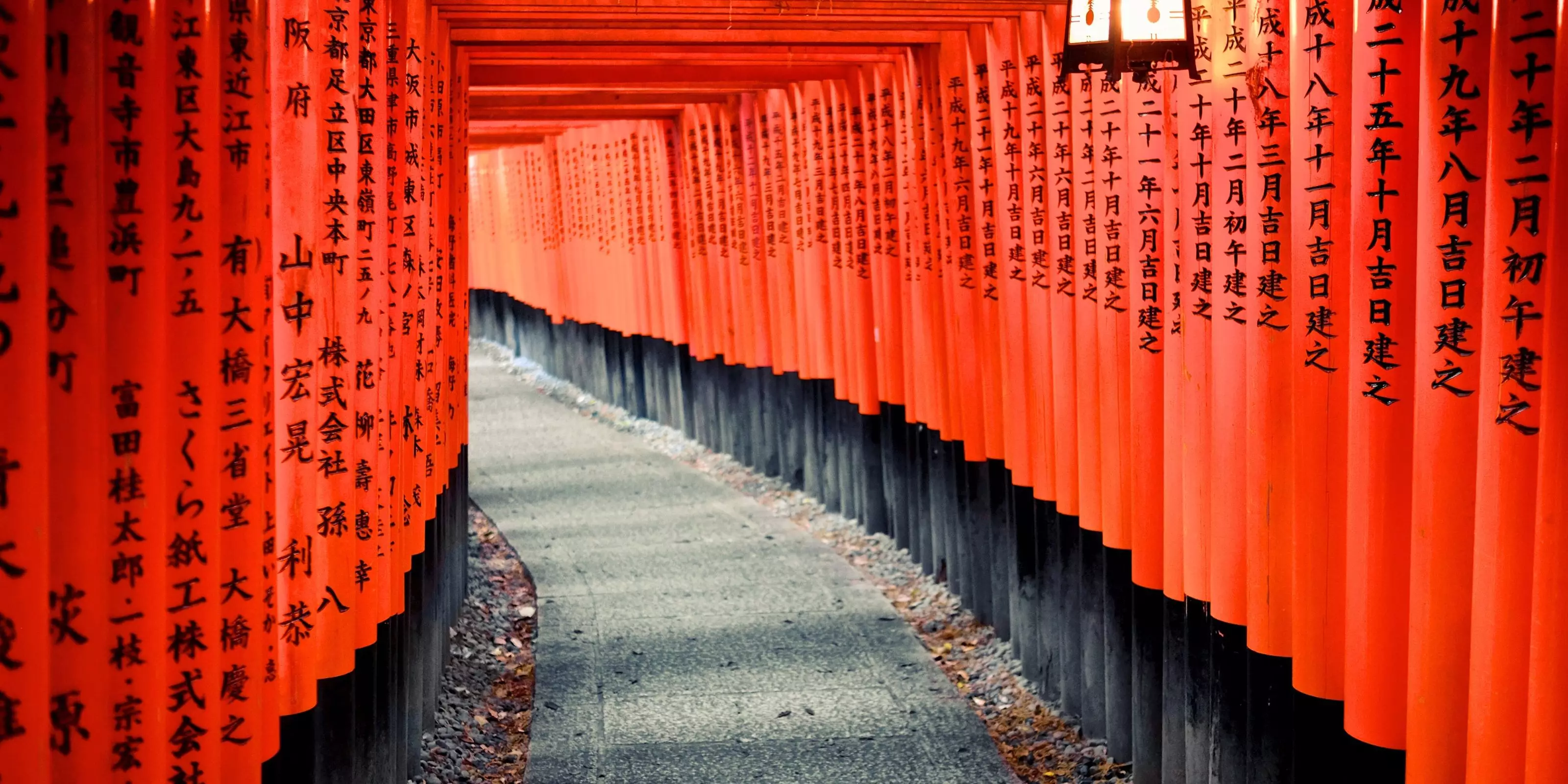 Japan pre-departure show