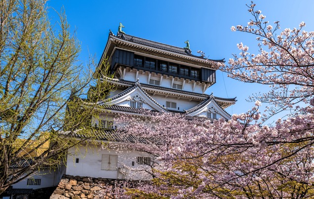 Day 18: Cruise – Kitakyushu