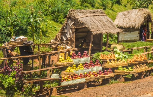 Day 5: 'Garden of Madagascar'
